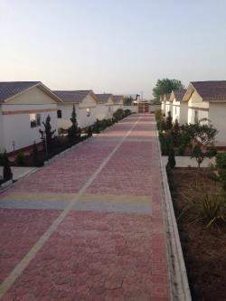 خطا در نمایش تصویر